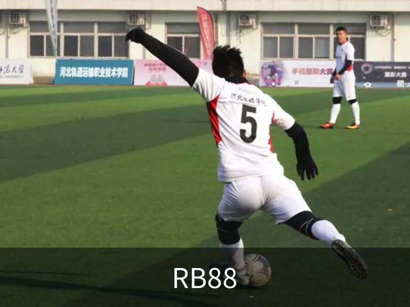 RB88介绍